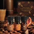 Perfect Potion Essential Oil Collection Cafe TRIO (cafe latte, chai, hot chocolate) Cheap