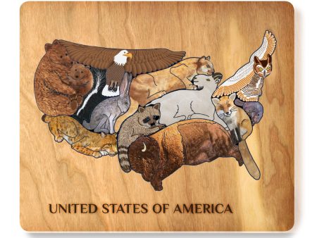 Animal Magic Educational Wooden Cluster Puzzle - Native USA Animals Online