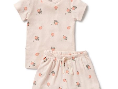 Wilson & Frenchy Organic Pointelle Short Sleeved Pyjamas - Peaches For Discount