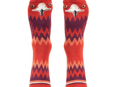 Wilson Payne Wedge-Tailed Eagle Socks Fashion