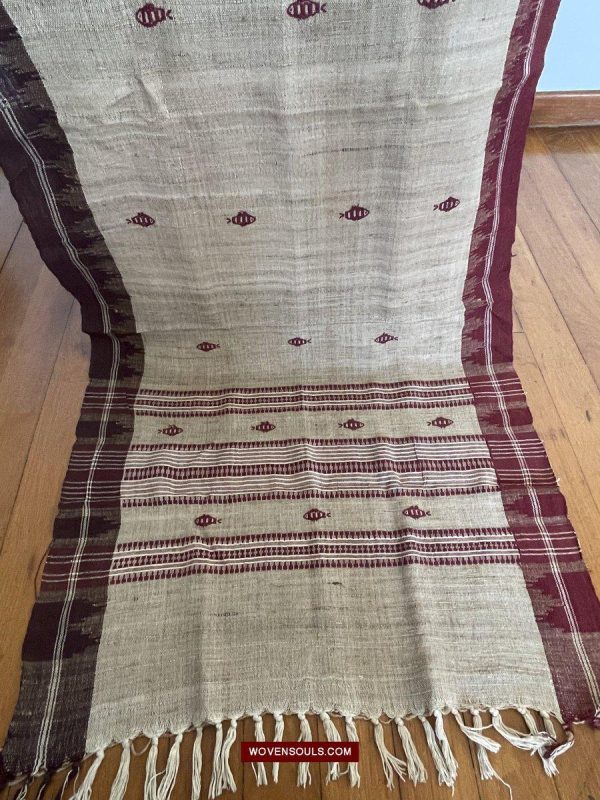 E5309- Orissa Tribal Koraput Kotpad Raw Silk Shawl - Ganga Jamuna Border Supply