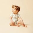 Wilson & Frenchy Organic Cotton Boyleg Zipsuit - Hello Friends Fashion