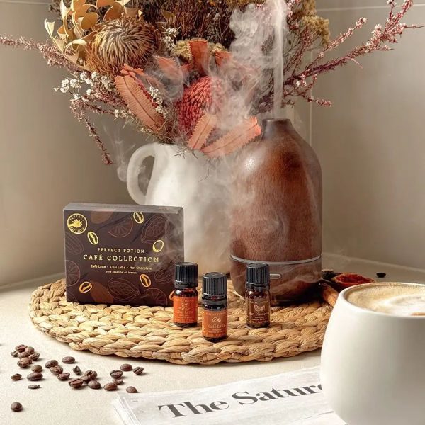 Perfect Potion Essential Oil Collection Cafe TRIO (cafe latte, chai, hot chocolate) Cheap