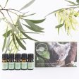 Perfect Potion Australian Essential Oil KIT Online