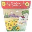 Sow  n Sow Gift of Seeds Christmas Card - Sunflower Christmas Greetings Online