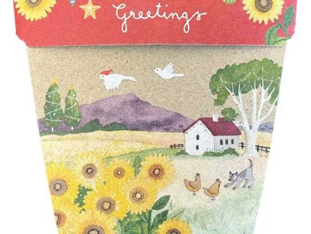 Sow  n Sow Gift of Seeds Christmas Card - Sunflower Christmas Greetings Online