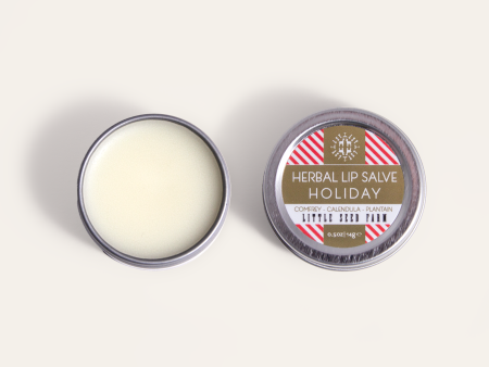 Holiday Lip Salve - Seasonal Release Online Hot Sale