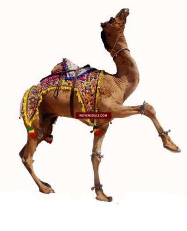 1216 Vintage Ceremonial Camel Cover Textile For Discount