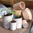 Burgon & Ball Paper Pot Maker (3-in-1) For Cheap