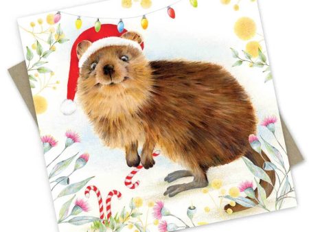 Popcorn Blue Quokka Christmas Card Online