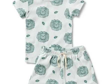 Wilson & Frenchy Organic Pointelle Short Sleeved Pyjamas - Little Lion Hot on Sale