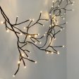 Lumina Solar Ivy Lights - Brown Fashion