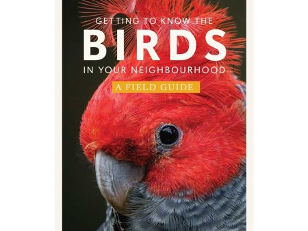 Getting To Know The Birds In Your Neighbourhood Online now