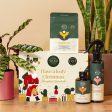 We The Wild - Have a Leafy Christmas Houseplant Essentials Kit Cheap