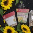 Sow  n Sow Gift of Seeds Christmas Card - Sunflower Christmas Greetings Online