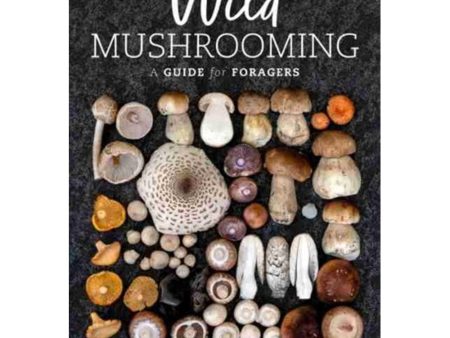 Wild Mushrooming Online Hot Sale