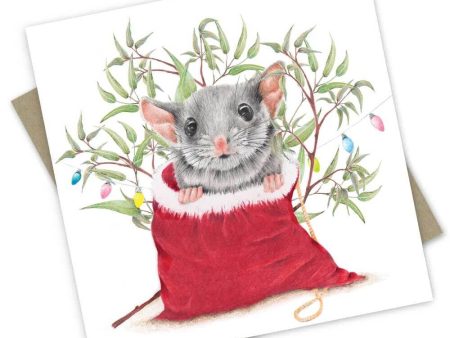 Popcorn Blue Leadbeaters Possum Christmas Card Supply