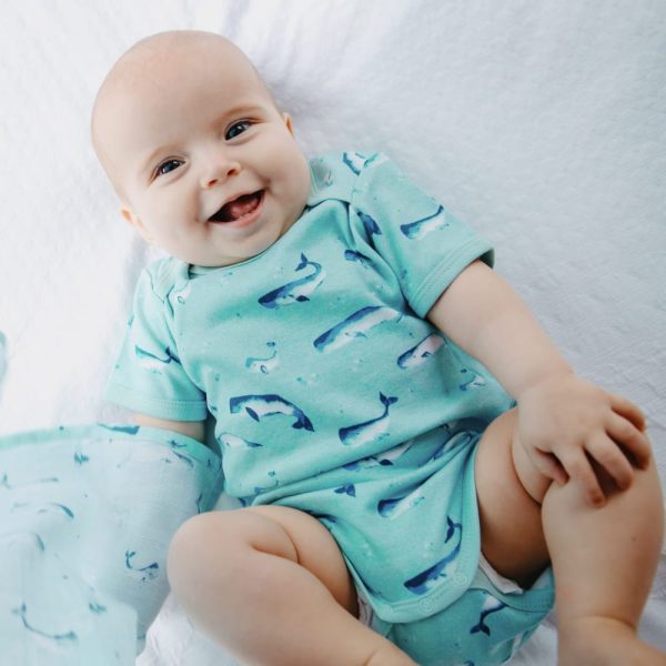 Organic Cotton Summer Short-Sleeve Onesie - Watercolour Whale Pods in Aquatic Blue For Discount