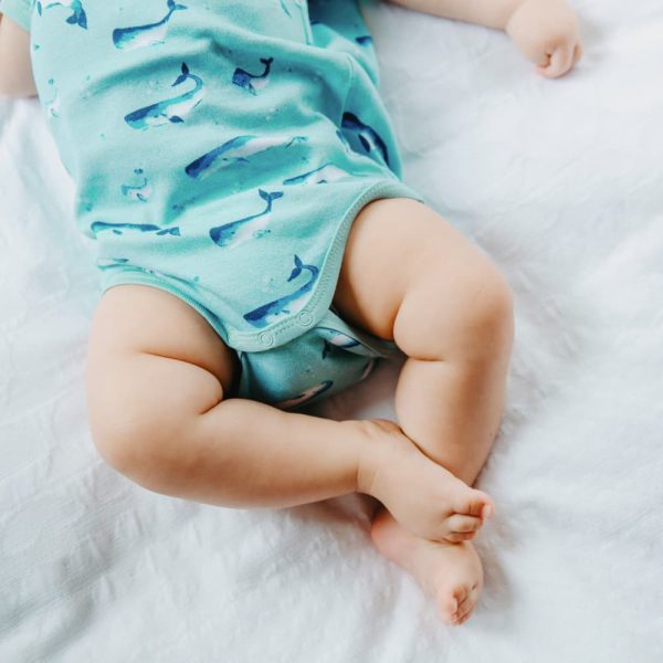 Organic Cotton Summer Short-Sleeve Onesie - Watercolour Whale Pods in Aquatic Blue For Discount