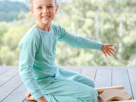 Organic Cotton Winter Pyjama Set - Sage Green Tiny Whales Discount