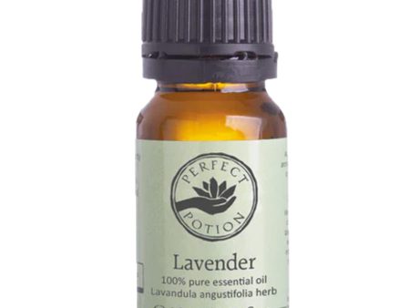 Perfect Potion Essential Oil Lavender 10ml CO Cheap