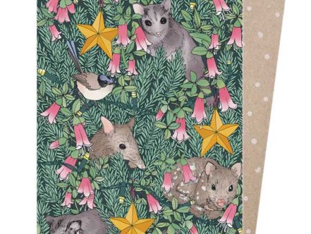 Earth Greetings Australian Christmas Card - Bush Baby For Discount