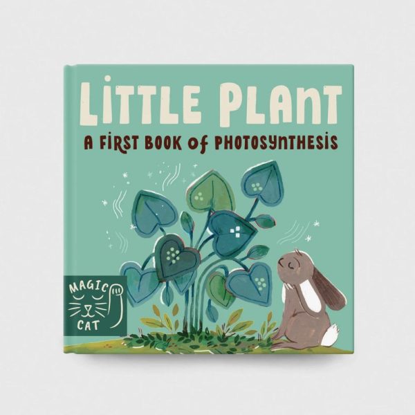 5 Minute Nature Story Box For Sale