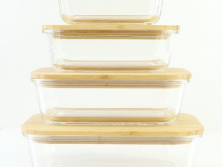 BULK 4x Biome Good To Go Glass Container with Bamboo Lid (Set of 4) Hot on Sale