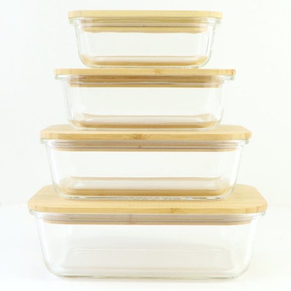 BULK 4x Biome Good To Go Glass Container with Bamboo Lid (Set of 4) Hot on Sale