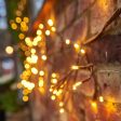 Lumina Solar Ivy Lights - Brown Fashion