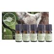 Perfect Potion Australian Essential Oil KIT Online