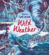 Emily Bone: Look Inside Wild Weather [2020] Online Sale